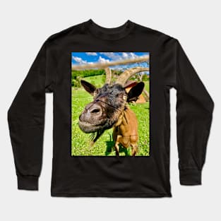 Curious goat from Styria Long Sleeve T-Shirt